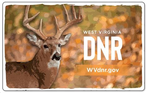 wv hunting license cost